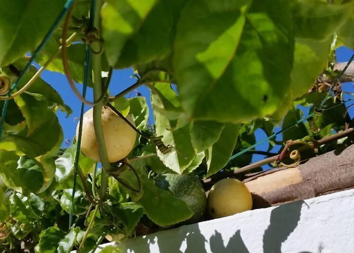 Nocleg ze śniadaniem Timanfaya 3*