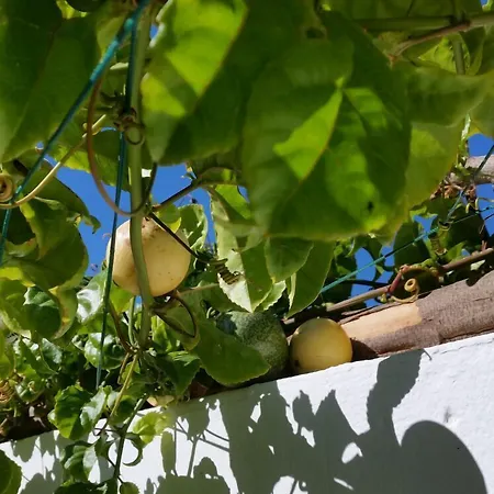 Nocleg ze śniadaniem Timanfaya 3*